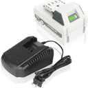 24V 6.0Ah Battery and Charger Combo Compatible for SnowJoe, SunJoe iON+ Batteries, for 24VBAT-LTX 24VBAT-LTW 24VBAT-LTE 24VBAT-XR Battery with Charger