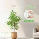 LBW Plant Grow Light,72 LEDs Full Spectrum Grow Lamp for Indoor Plants, Bamboo Plant Lights with 4/8/12H Timer,Height Adjustable,Ideal for Large Tall Plants,Bamboo