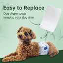 Wegreeco Dog Diaper Pads - Bundle of 10 - (Male Medium,5.9"x11")