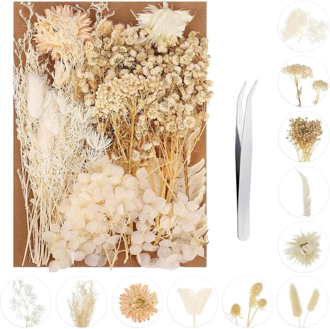 Dried Pressed Flowers, Real Dried Flowers, Natural Pressed Flowers Decorative Dried Flowers for DIY Candle Resin Jewelry Nail Pendant Crafts Making (White Series)