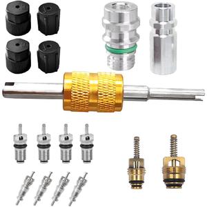 Bittwee 17PCS Car Air Conditioning Valve Core Kit, R12 R134a Vehicle HVAC Valve Stem Cores with Removal Tool, Auto AC Refrigeration Cap Valve Core Assortment Set, Universal for Most Cars