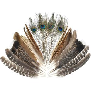 MARRTEUM 5 Style 10-12 Inch Natural Feathers, 20 Pcs Large Assorted Mixed Spotted Pheasant Peacock Turkey Feathers Decorative Bulk for DIY Crafts, Vase, Hat, Clothing, Wedding, Home, Party Decoration