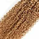 Color #27 Kinky Curly Bundles Honey Blonde Kinky Curly Human Hair 3 Bundle 28 30 32 Inch Unprocessed Brazilian Virgin Remy Hair Weave Double Weft Blonde Hair Soft & Silky & Full 300g