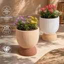 DREAMLOOM 6.4Inch Coarse-Grained Terracotta Pots for Succulents, 2Pcs Flower Planters with Drainage Holes, Bonsai, Cactus Aloe, Herbs, Orchid, Rustic Color