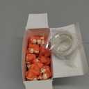 50 Pcs Mini Resin Animal Miniature Figurines Bulk Adorable Garden Accessories for Micro Landscape Ornaments Home Decor Bookcase Living Room Scenes Kit (Squirrel Style)