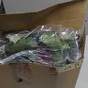 Artificial Grape Leaf Garland Vine Plant for Decoration Fake Greenery Garlands Hanging Leaves with Grapes for Wine Italian Themed Party Decor Wedding Photo Stage Favors(20 ft,Dark Green)