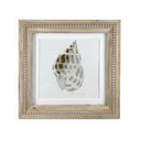 Sea Shell New View Coastal Wall Art featuring a seashell print in a wooden frame.