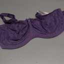 Wacoal Women's Retro Chic Unlined Mesh Full Coverage Underwire Bra, 855186 (44H, Grape Compote)