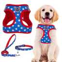 PUPTECK Adjustable Dog Harness Collar and Leash Set Step in No Pull Pet Harness for Small Medium Dogs Puppy and Cats Outdoor Walking Running, Soft Mesh Padded Reflective Vest Independence Harnesses ( Size S )