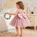 Toddler Baby Girls Princess Birthday Dress Flower Girl Pageant Party Tutu Wedding Formal Dresses Tulle Gown (Pink, 9-12M )