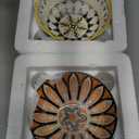 8 Pcs Colorful Ceramic Bowl Set 10 oz 4.75'' Porcelain Kitchen Soup Cereal Serving Bowls for Ramen Rice Dessert Snack Salad Ice Cream Pasta Oatmeal Microwave and Dishwasher Safe(Vintage)