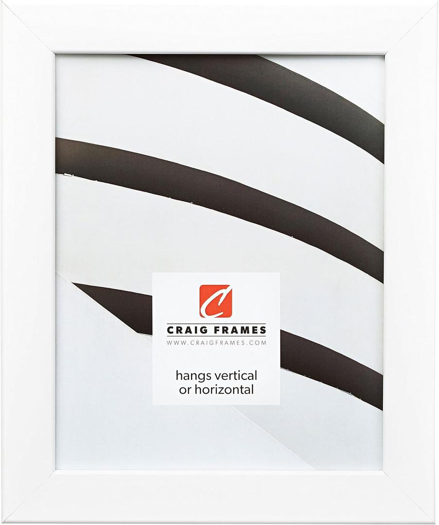 Craig Frames 12x16 White Picture Frame, Wall Decor for Art and Photos