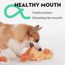 5 Pack Tough Dog Toys Stuffed Squeaky Dog Toys Assortment Value Bundle Dog Squeaky Toys Assortment Puppy Pet Mutt Dog Toy Dog Squeak Toy for Medium Large Dogs