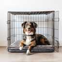 Muddy Mat Dog Crate Bed mat, Comfortable Dog Pillow, Crate Bed for Large Medium Small Dogs and Cats, Ultra Soft & Relaxing Washable & Dryer Safe Chenille Material Medium (23"x36")