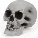 MOKRY PARTY Human Skull Skeleton Life Size for Halloween Skull Model 1:1 Replica Plastic Skull Head Graveyard Outdoor Decor