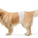 Basics Male Dog Diapers, 30 Count, Small, Ultra Absorbent Wrap with Secure Fit, Leakproof and Comfortable