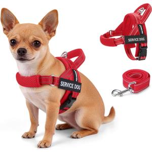 FAYOGOO Service Dog Vest for  Dogs,Lightweight Service Dog Harness with Adjustable Chest Strap,No-Pull No-Chock Escape Proof Dog Harness for Walking Training, S