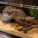 Reptile Simulation Rock Cave Hideouts Terrarium Habitat Dcor Bearded Dragon Hideout for Turtles Lizards Snakes Crab (Small)