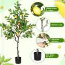 Daifunli 1 Pack Artificial Lemon Tree with Realistic Leaves and Natural Trunk Faux Tree with Silk Leaves for Porch Home Office Farmhouse Indoor Outdoor Housewarming Gift