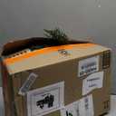 Christmas Cedar Garland Realistic with Lights - Cypress Decorations 9ft for Mantle Lighted Faux Pine Garlands for Xmas Home Decoration Indoor Stairs Railing Fireplace 9 Ft Outdoor Prelit Door Decor