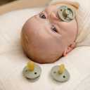 Bibs Pacifiers Color Collection, Set of 2 BPA-Free Latex Pacifiers Made in Europe, Round Nipple Baby Pacifier.