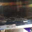 Roku Smart TV  55-Inch Select Series, 4K HDR TV  Roku TV with Enhanced Voice Remote  Flat Screen LED Television with Wi-Fi for Streaming Live Local News, Sports, Family Entertainment