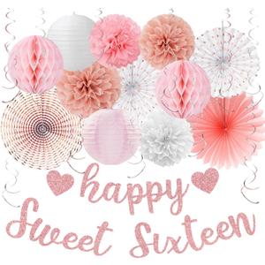 Vlipoeasn Sweet 16 Birthday Decorations for Girls, Rose Gold 16th Birthday Party Decor, Happy 16 Year Old Party Supplies
