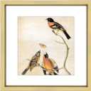 5x5 Picture Frame, Brass Metal Photo Frames with HD Glass, Fits 4x4 with Mat or 5 x 5 without Mat, Display for Wall and Table, 1 Pack