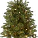 National Tree Company 3 ft Pre-Lit Hampton Spruce Mini Artificial Christmas Tree, 100 Clear Lights, 579 Tips, Green Growers Pot