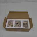 Gerrit 3PCS Skull Head Flower Pots Gothic Skeleton Planter Container Office Planter Succulent Plant Organizer Halloween Ornament