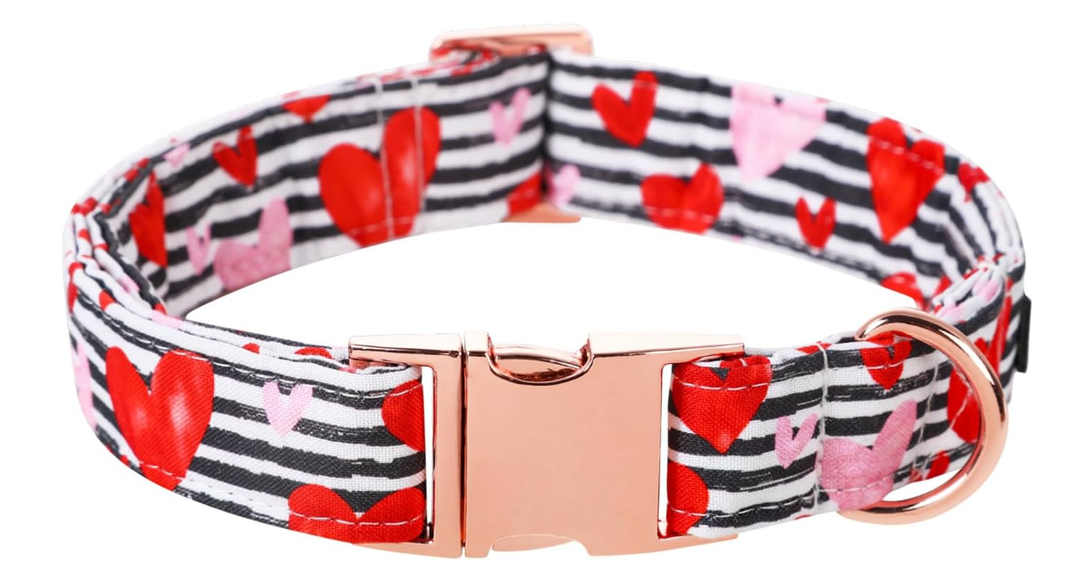 Lionet Paws Boy Dog Collar, Comfortable Adjustable Cute Blue Plaid Collar with Metal Buckle for Male Dogs, Medium, Neck 13.5-22 inches