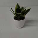 Hollyone Artificial Snake Plants 9" Faux Agave Succulent Plant Potted in White Pot Fake Sansevieria Aloe Tropical Plant for Desk Modern Office Home Bathroom Indoor Outdoor Decor (Green #3)