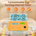 Incubator for Hatching Eggs, Temperature and Humidity Control, Automatic and Adjustable Egg Turning & Incubation Day, Built-in Egg Candler, 12 Egg Incubator for Hatching Chicken, Duck, Turkey, Bird