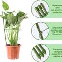 4 Pack Tomato Cage, 18 inches Plant Support Cages for Garden, Upgrade Garden Plant Stakes with Adjustable Rings, Plants Trellis for Tomato, Flower, Climbing Plants, with Twist Tie