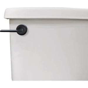 Danco 12052 Toilet Tank Lever, Matte Black
