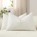 DEZENE Lumbar Pillow Covers 12x20 Ivory White: Pack of 2 Cozy Soft Velvet Rectangular Modern Luxury Decorative Throw Pillow Cases for Sofa Couch Living Room Bed Home Decor (Cloud Danser)