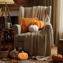 Yookeer 2 Pcs Fall Pumpkin Pillows, Corduroy 3D Simulated Pumpkin Throw 7'' and 11'' Soft Autumn Decorative Sofa Cushion for Thanksgiving Halloween Christmas Bedroom Home Decor(Brown, White)