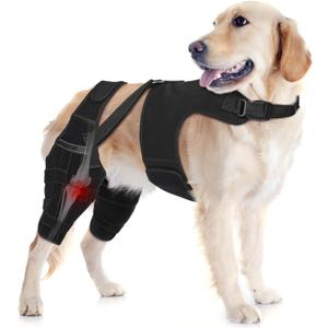 Dog Knee Brace Double Leg Support with Vest - Orthopedic Joint Stabilizer for ACL Tear, Arthritis, Patella Recovery - Adjustable Non-Slip Recovery Brace for Small Middle Large Dogs (XXL)