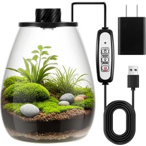 Maxdot Glass Plant Terrarium Kit with Light for Succulent, Moss, Miniature Gardening Landscape, Betta Fish Tank, Office Home Decoration, Plant Lovers Gifts (6.9 x 7.8 Inch)