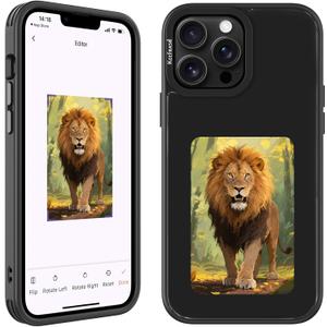 Upgraded Smart Ink Phone Case  4.1" 4-Color E Ink Screen, 556800 Resolution, NFC Digital Picture Phone Case, DIY Photo Transfer, Smart Ink Case Compatible with iPhone 15 pro  Black