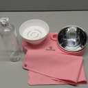 Double Elevated Dog Cat Food Water Bowls, Stainless Steel Cat Food Water Bowl with No-Spill Mat, Raised Tilted Dishes for Indoor Kitten, Puppies, Small or Medium Size Dogs Cats, Pink