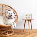 Lewrwet Dog Paw Print Kit with Fur Keepsake Keychain, Clay Paw Impression for Dogs, Easy DIY Pet Memorial Gift, Personalized Puppy Paw Print Ornament for Dog Lovers