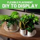 MUDEELA 6 Pack of 15 Inches Plant Saucers for Indoor, Durable Plastic Round Plant Tray Plant Dish Pant Plate to Catch Water for Flower and Plant Pot, Thicker, Stronger, Deeper, Black