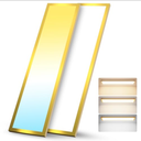 1x4 FT LED Flat Panel Light Surface Mount with Gold Border-50W 5500LM 120V 3000K/4000K/5000K Triac Dimming 10%-100% Kitchen Lights Ceiling Flush Mount for Garage/Basement/Shop