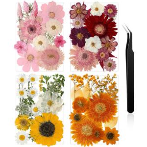 Nuanchu Pressed Flowers Bulk Dried Flower for Crafts, Dried Wildflowers Leave Natural with Tweezer for Resin Mold Scrapbooking Nail Soap Making DIY(Rustic Style,Mixed Color)