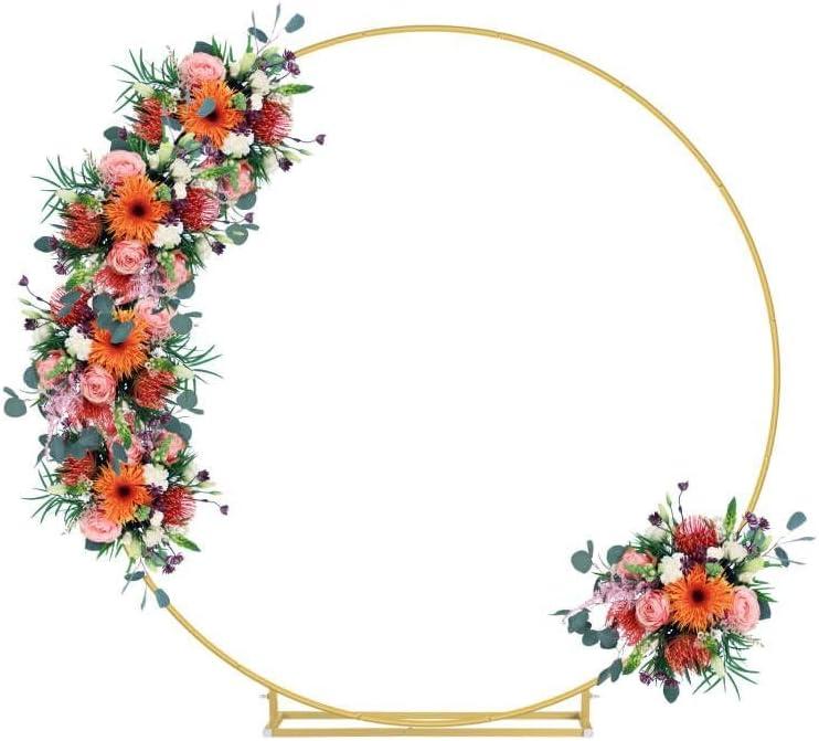 6.6FT Round Backdrop Stand, Wedding Metal Circle Balloon Arch Kit Frame Flower Ring Stand for Wedding Birthday Party Ceremony Anniversary Graduation Backdrop Decoration, Gold (6.6FT Gold)