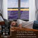 3 x Homsolver Anniversary Birthday Valentines Unique Day Gift for Him, Friendship Gifts for Him, Men, Best Friend, Neighbors, House Warming Gifts New Home, I Wish You Lived Next Door Scented Candles