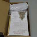 48 Sets Christmas Scratch Off Cards Bulk Rainbow Christmas Tree Paper Scratch Art Craft Ornaments with Legend Cards Bags for Adults Xmas Christian Gifts Party