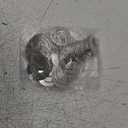 moonoom 80Set DIY Bottle Opener Insert Kits, 80 Rustproof Metal Bottle Opener Inserts + 160 Screws + Screwdriver, Silver 80