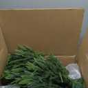 Set of 2 Artificial Norfolk Pine Tree, 4 ft Realistic Christmas Tree, Fake Potted Plants for Front Porch Outdoor Indoor Garden Christmas Decor(2 PCS, 4ft)